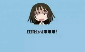無為代運營公司注銷的流程是什么
