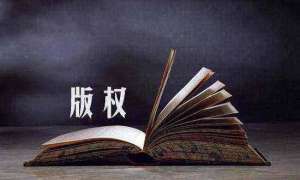 蕪湖繁昌區(qū)軟件著作權(quán)的價值演化趨勢及其成因分析