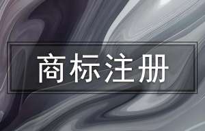 直擊蕪湖商標注冊現(xiàn)場：流程中的要點與難點